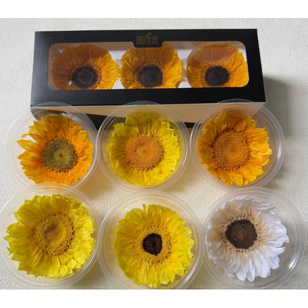 Eternal Sunflower Eternal Flower Sunflower Gift Box Glass Dome Bouquet Flower Materials Preserved Flowers Sunflower Wholesale