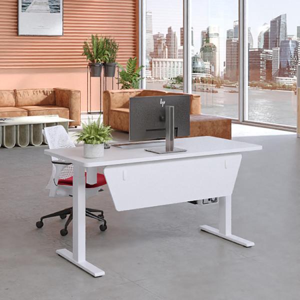 Intelligent Electric Dual Motor Sit Stand Desk for Office and School Workstations