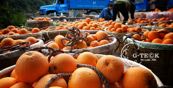 Brown Organic Calcium Amino Acid Chelate Calcium Powder