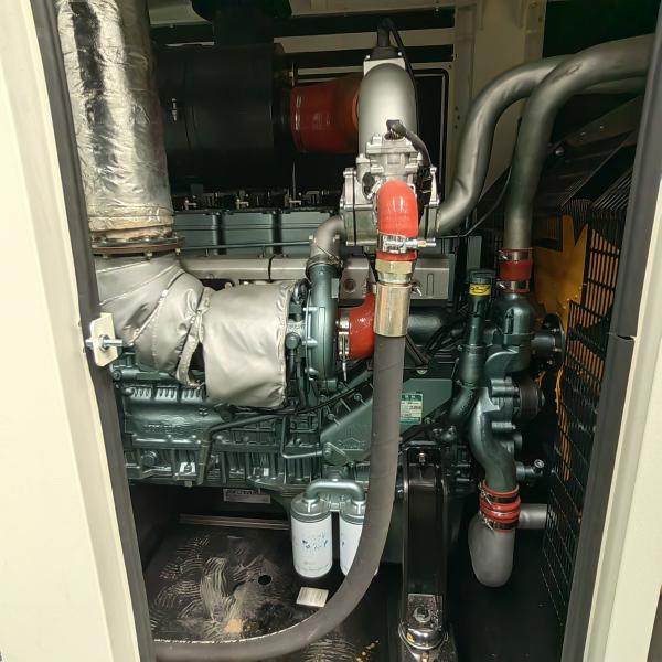Best 312.5KVA Biogas CNG Power Genset Plant with Water Cooled Method and Remote Start