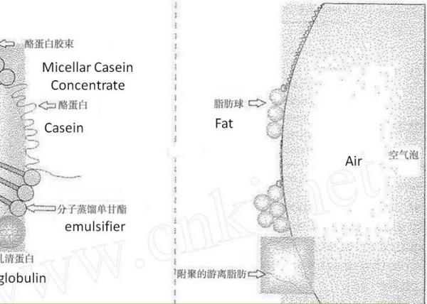 Emulsificantes em pó E475 / Finamul PGE 2070 Polyglycerol Esters Of Fatty Acids 20kg Cartão artesanal