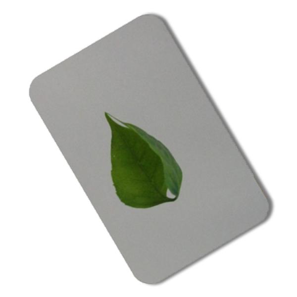 304 430 Mirror Finish Stainless Steel Sheet Wall Panel PVD 4x8 Color Coating 8K