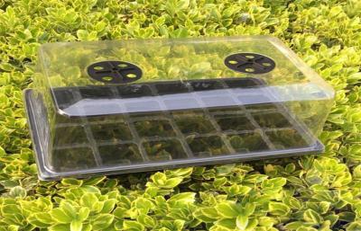 Bandejas plásticas da germinação da semente com a semente vegetal da horticultura da planta do preto da abóbada