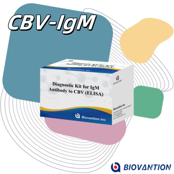 18 Months Shelf Life Enzyme-Linked Immunosorbent Assay Test For IgM Antibody To CBV