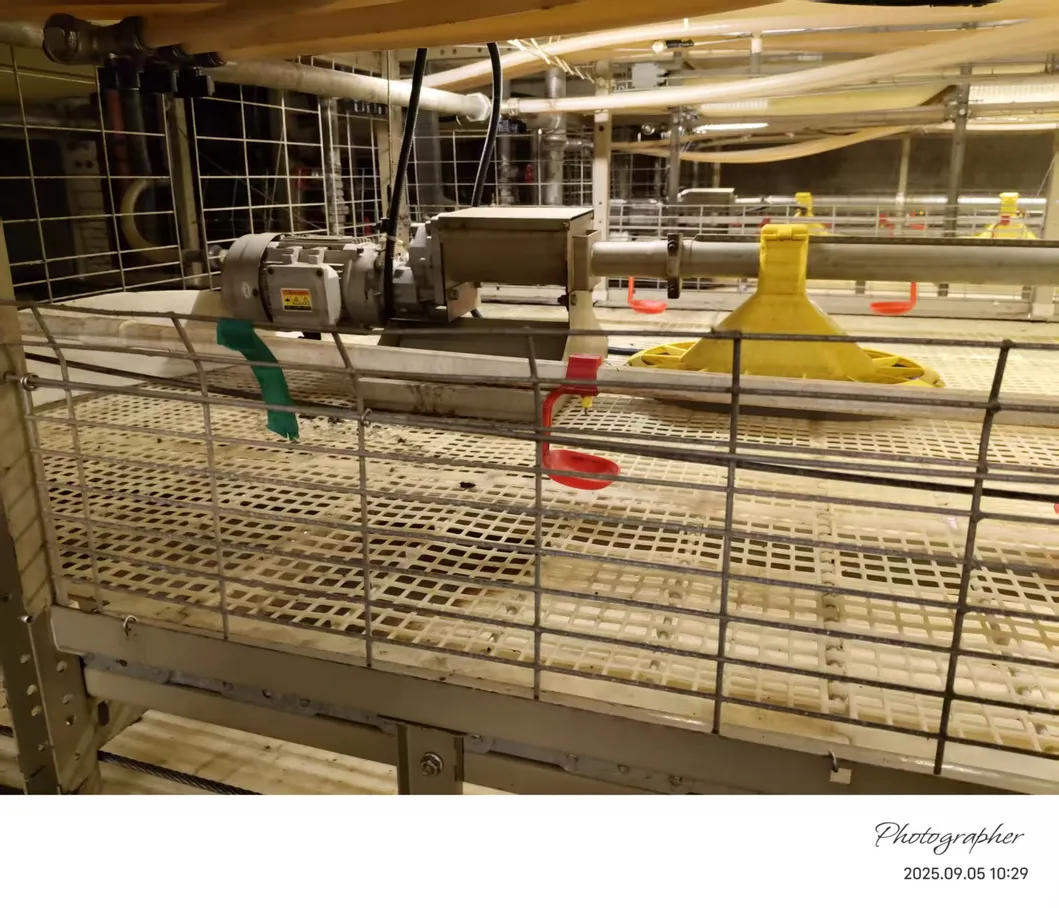 Automatic Poultry Farm Chicken Broiler Cage for Poultry Farming