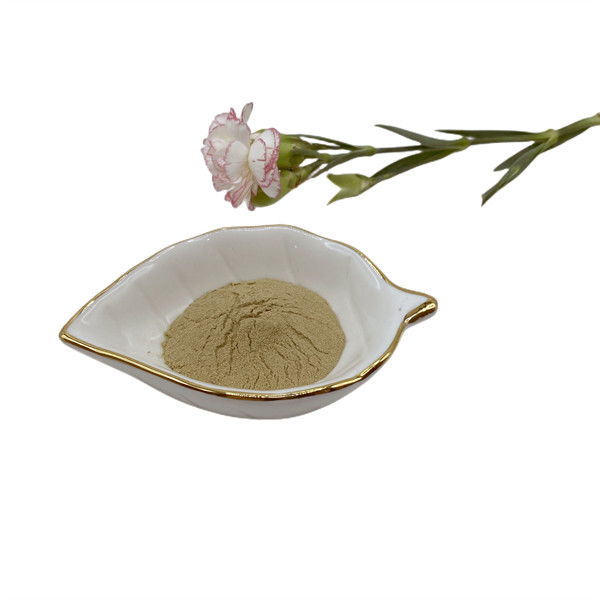 Engrais organique de poudre brun clair de l'acide aminé 50 de l'azote 17%