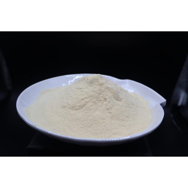 Industrial Fermentation-Grade Bone Peptone – High-Performance Nitrogen Source for Optimal Microbial Growth