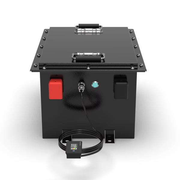 Customized Lithium Ion LiFePO4 Battery Pack 100AH Golf Cart AGV Cleaner Truck