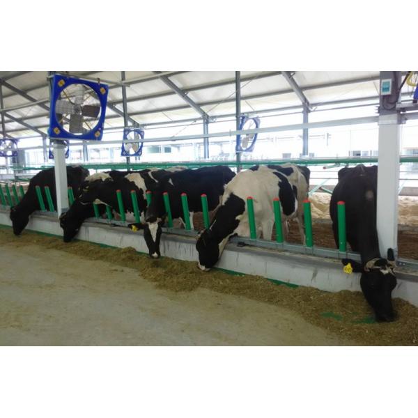 Машина щетки коровы ECB160BL Dia45mm для очищая меха