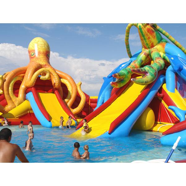customized giant octopus water park,dolohin animal inflatable water park with big pool toys