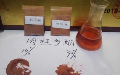 Highest Content/Cinnamon Bark Extract Polyphenols 20%-30% powder
