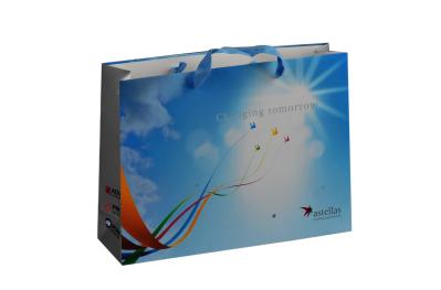 Promotional gift bag 07