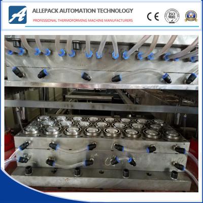 510*580mm Mold Making for PP Container Plastic Thermoforming Mold