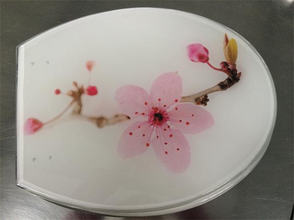 decoration toilet seat,color,polyresin,plastic,solid white,sanitary toilet seat cover