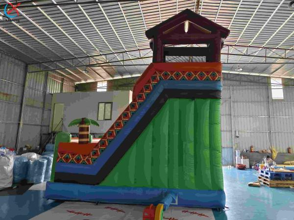 Inflatble Exotic Bouncy House With Internal Slide Combo Jumping Castle