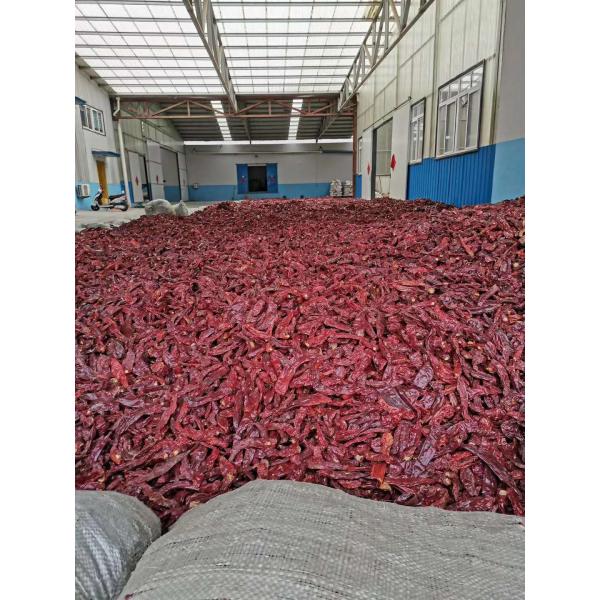 Блок формирует высушил перцы Chili Guajillo