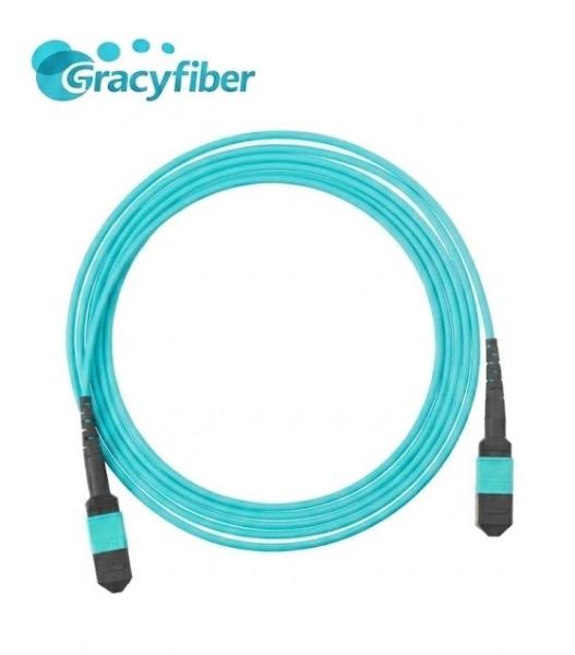 High-Density MPO Lock Connector Unauthorized Removal Prevention Low Insertion Loss Optical Connector Matching Modules Adapters Custom