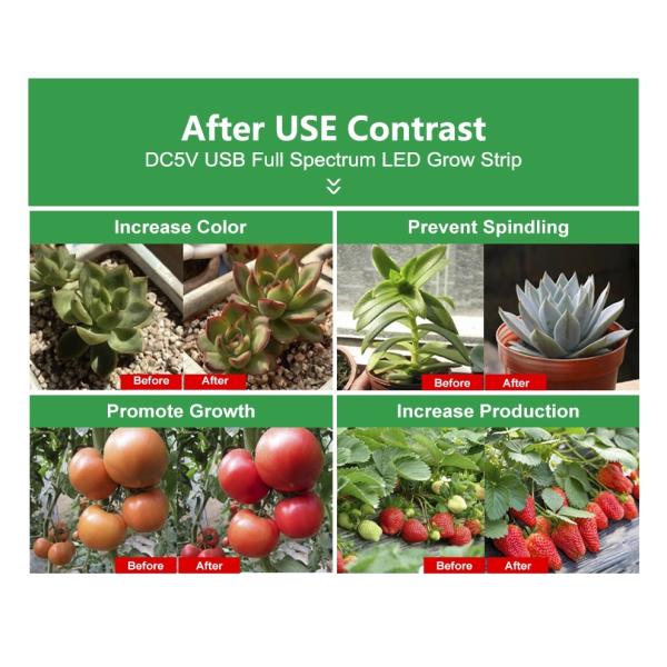 Завод полного парника Usb спектра Hydroponic крытый растет света