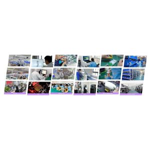 Shenzhen Weideshi Technology Co., Ltd.