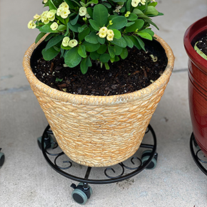 Порошкообразованный железный цветочный подстав с тяжелыми касками и подставкой для цветочных горшков