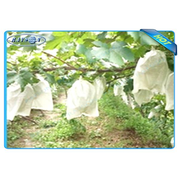 Сумка предохранения от плода Нонвовен ОЭМ устранимая на см 22км размера 20 виноградины