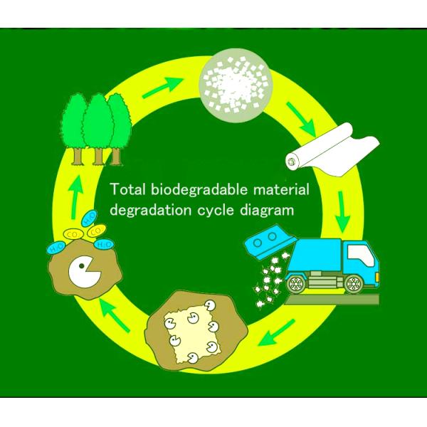 Biodegradable d matte k OEM waterproof bag zipper compostable zip packing bag for clothing apparel packing