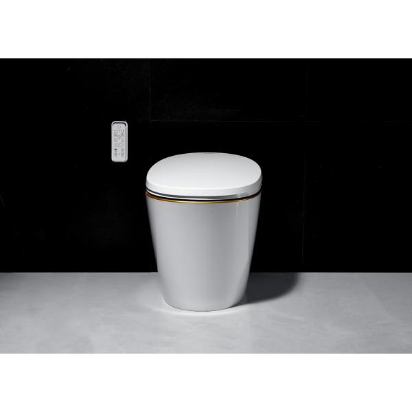 Automatic Opening One Piece Toilet Warm Water Washing Function With Night Lamp