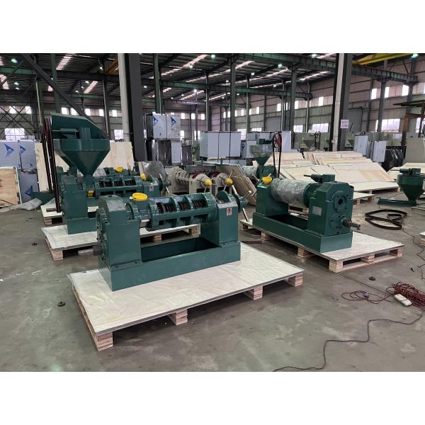 Coconut Automatic Screw Oil Press Machine High Quality Peanut Oil Extrator Cold Press