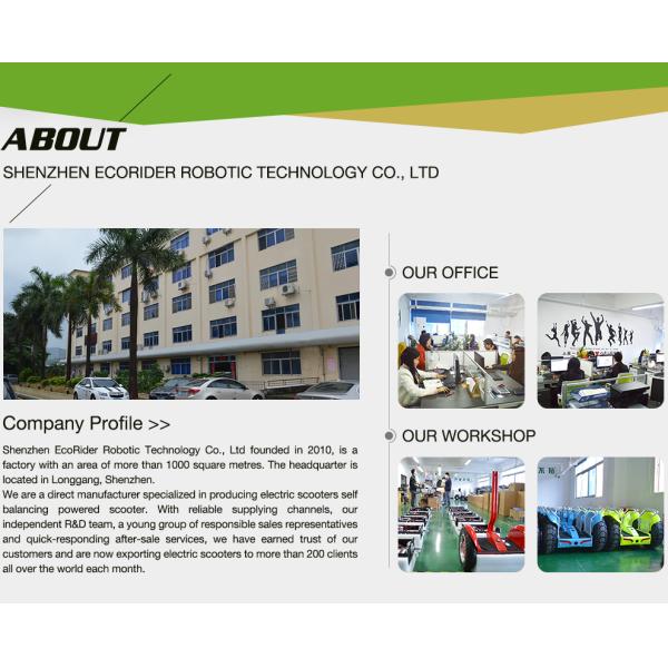 Off Road Chariot Two Wheeled Self Balancing Electric Vehicle 21 Inch Big Tire