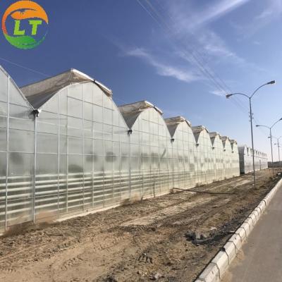 Película de cobertura de esqueleto galvanizado para produtos agrícolas em Shouguang fácil de instalar