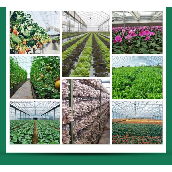 40 футовый контейнер гидропонического интеллектуального сельского хозяйства теплицы с растениями роста светодиодный свет