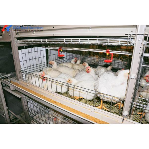 Prefab Steel Structure Poultry House - Q235B/Q355B Carbon Steel Design