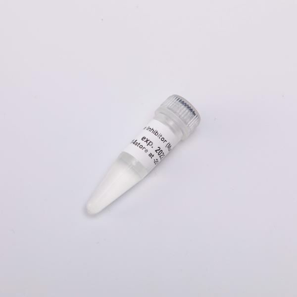 GDSBio Reverse Transcriptase PCR Reagents 20000U Rnase Inhibitor Chemical