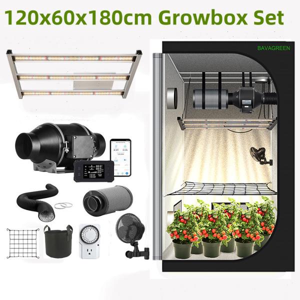 BAVAGREEN 300W Samsung LM301H EVO Mint White LED Grow Light Full Spectrum UV IR LED Plant Lamp for 120x60 Growbox