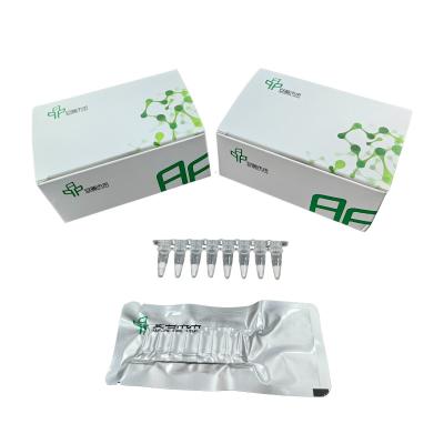 Resultados precisos Kit de amplificação de ARN Alta sensibilidade
