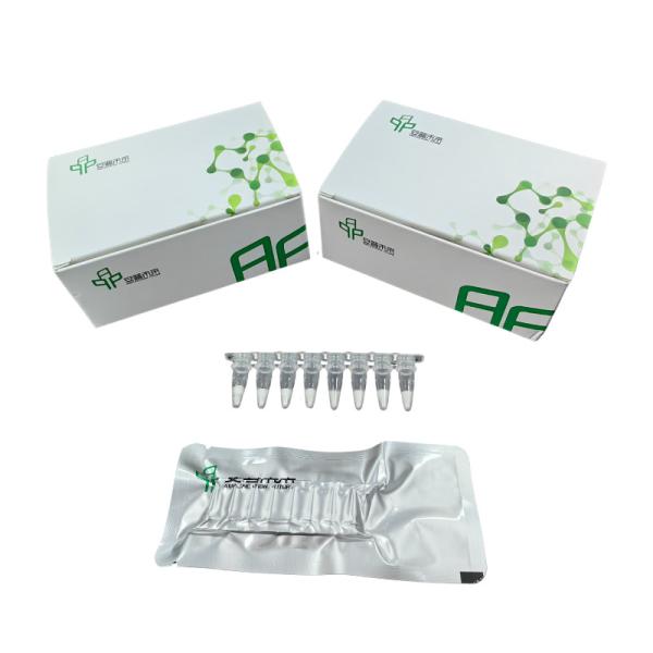 Resultados precisos Kit de amplificação de ARN Alta sensibilidade
