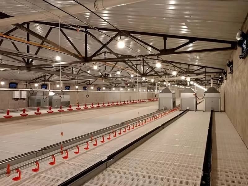 Easy Cleaning Plastic Poultry Slatted Floor Anti Slip Surface for Poultry Chicken Duck