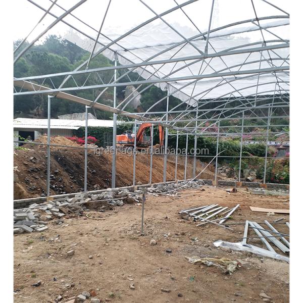 Strong Structure Large Multi-Span Agricultural Tropical Greenhouses PE Plastic Film Covered Gutter Rain Water Collection