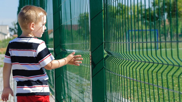 Hot Dipped Galvanized 3D Curved Fence with 50x200mm Mesh Size and Rustproof Garden Fence