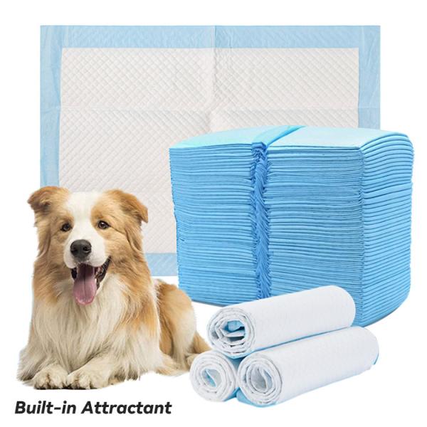 Disposable Puppy Training Pads 45x60cm 60x60cm 60x90cm Dog Pee Pads Quick Drying