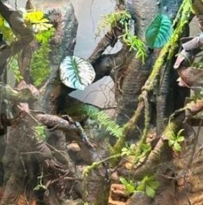 Le fond du reptile Terrarium SL-M19B Simulation de planche de mélange de roches