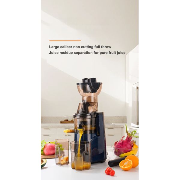 1000W Electric Juicer Machine 220V-240V 50HZ-60HZ Frequency With Button Control