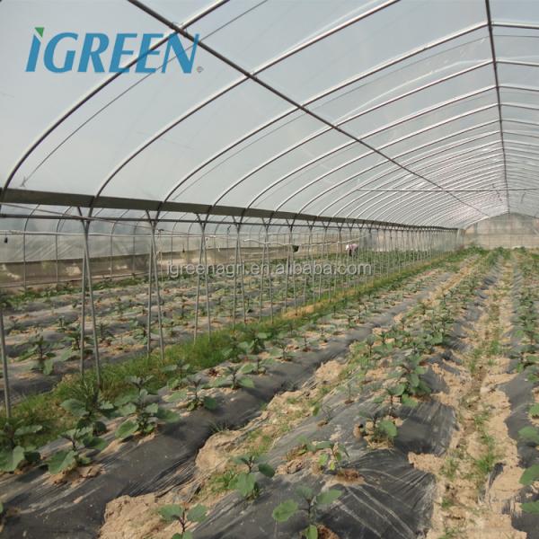 Commercial Large Single Layer Film Greenhouse with Cooling Pad Fan Internal External Shading Drip Irrigation Hydroponics System