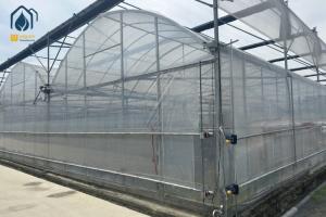 Multi Span Greenhouse Automated Hydroponic Greenhouse For Agriculture