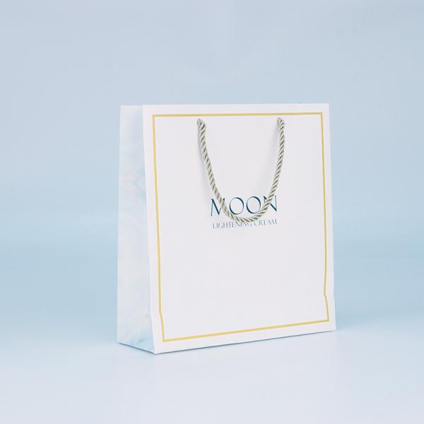 Compostable 21*11*27cm 90gsm Shopping Packaging Carrier Bag