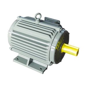 Squirrel Cage Induction Motor