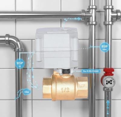 ETRANY 1/2'' DC5V BSP NPT Brass Electric Ball Valve WiFi Control High Temperature Water Fluid Regulation Remote Mobile Phone