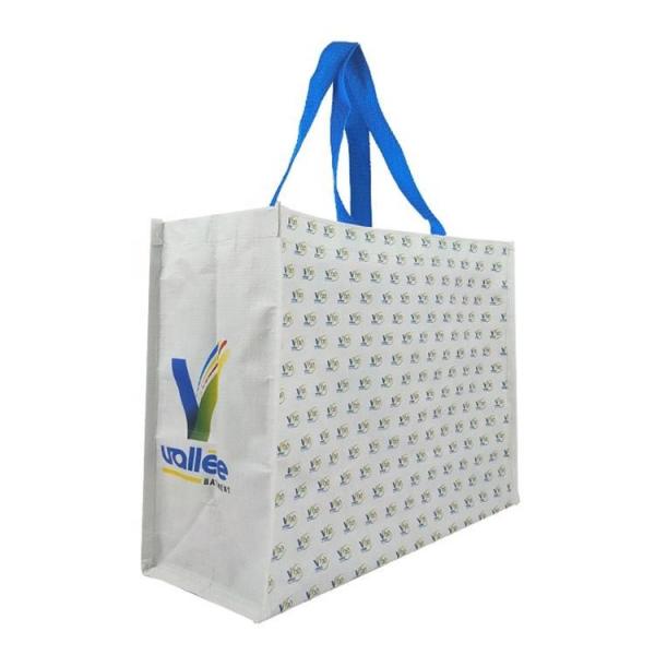 Advertising Cheap Promotional PP Woven Shopping Bags