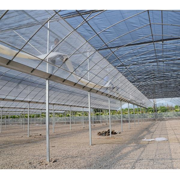 10m Tunnel Width Wide Span Greenhouse For Snail Farming with Irrigation System
