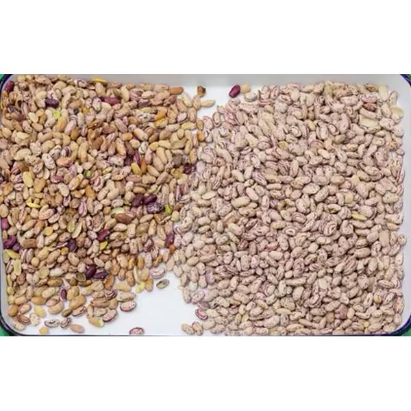 WENYAO 10 Chutes Beans Color Sorter , 10t/h Colour Sorting Machines